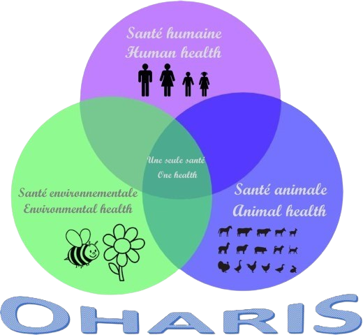 OHARIS ELEARNING