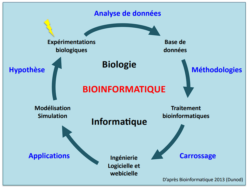 Bioinformatique