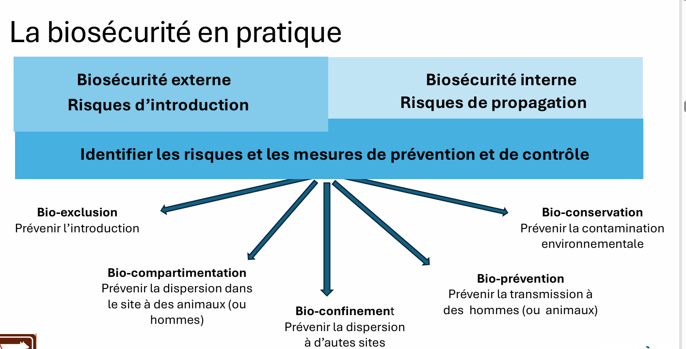 Biosécurité